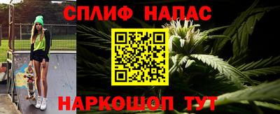 прущие грибы Азнакаево