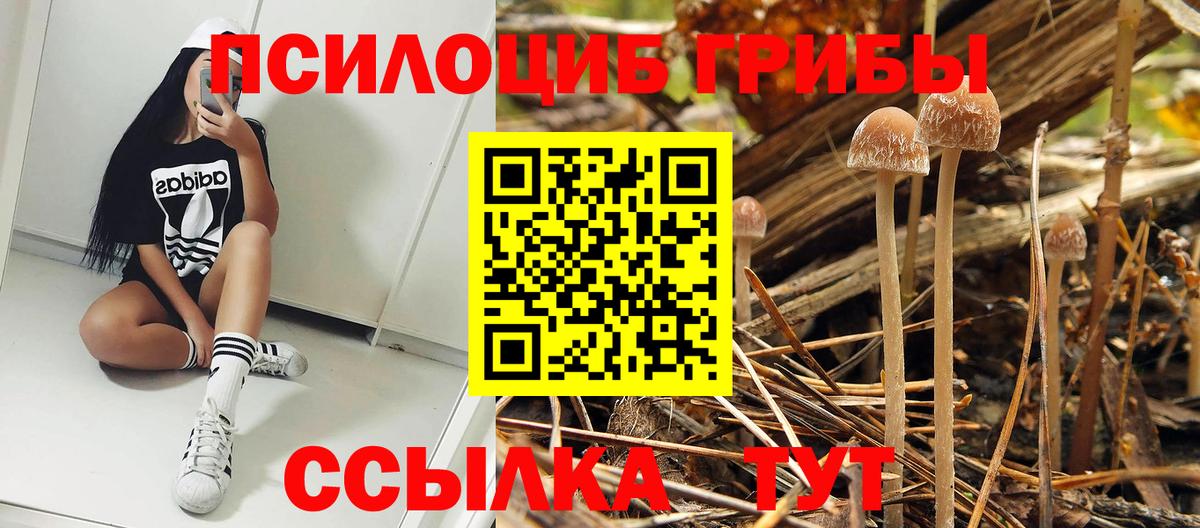 Псилоцибиновые грибы ЛСД  Вход с VPN  Абинск 